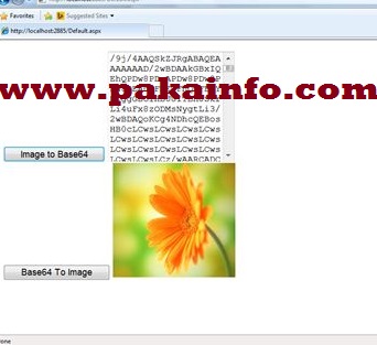 Php Save Base64 Encoded String Convert Base64 To Image Pakainfo