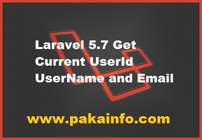 Laravel 5.7 Get Current UserId UserName and Email | Pakainfo