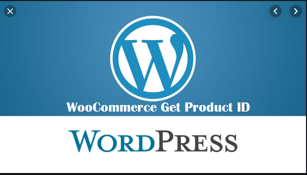 WooCommerce Get Product ID
